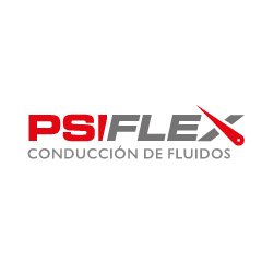 PSI Flex logo color 100